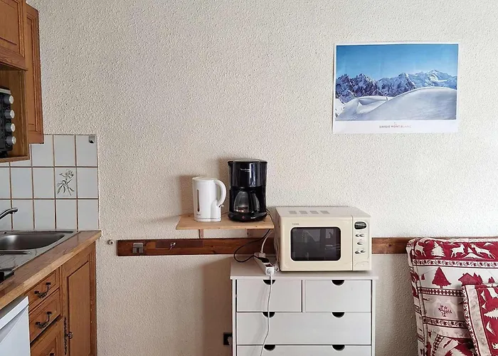 Appartement Cosy Proche Des Pistes - Animaux Admis - Fr-1-517-52