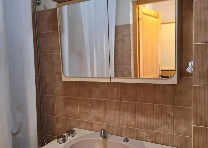 Cosy Proche Des Pistes - Animaux Admis - Fr-1-517-52