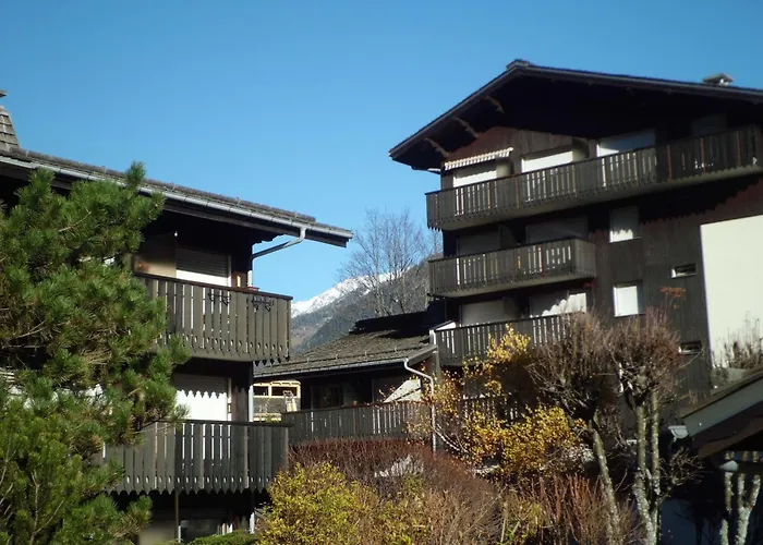 Cosy Proche Des Pistes - Animaux Admis - Fr-1-517-52 Apartment Chamonix